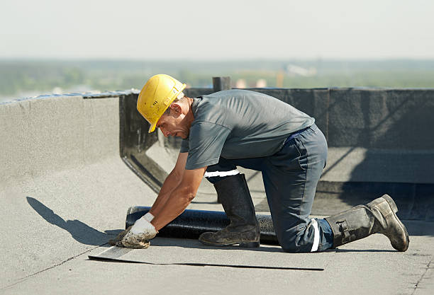 Best Geographic-Specific Insulation Services in Vcennes, IN