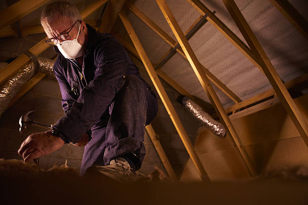 Best Specialized Insulation Services in Vcennes, IN