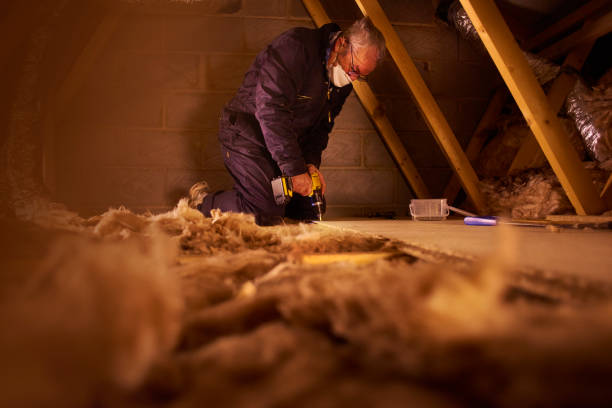 Types of Insulation We Offer in Vincennes, IN